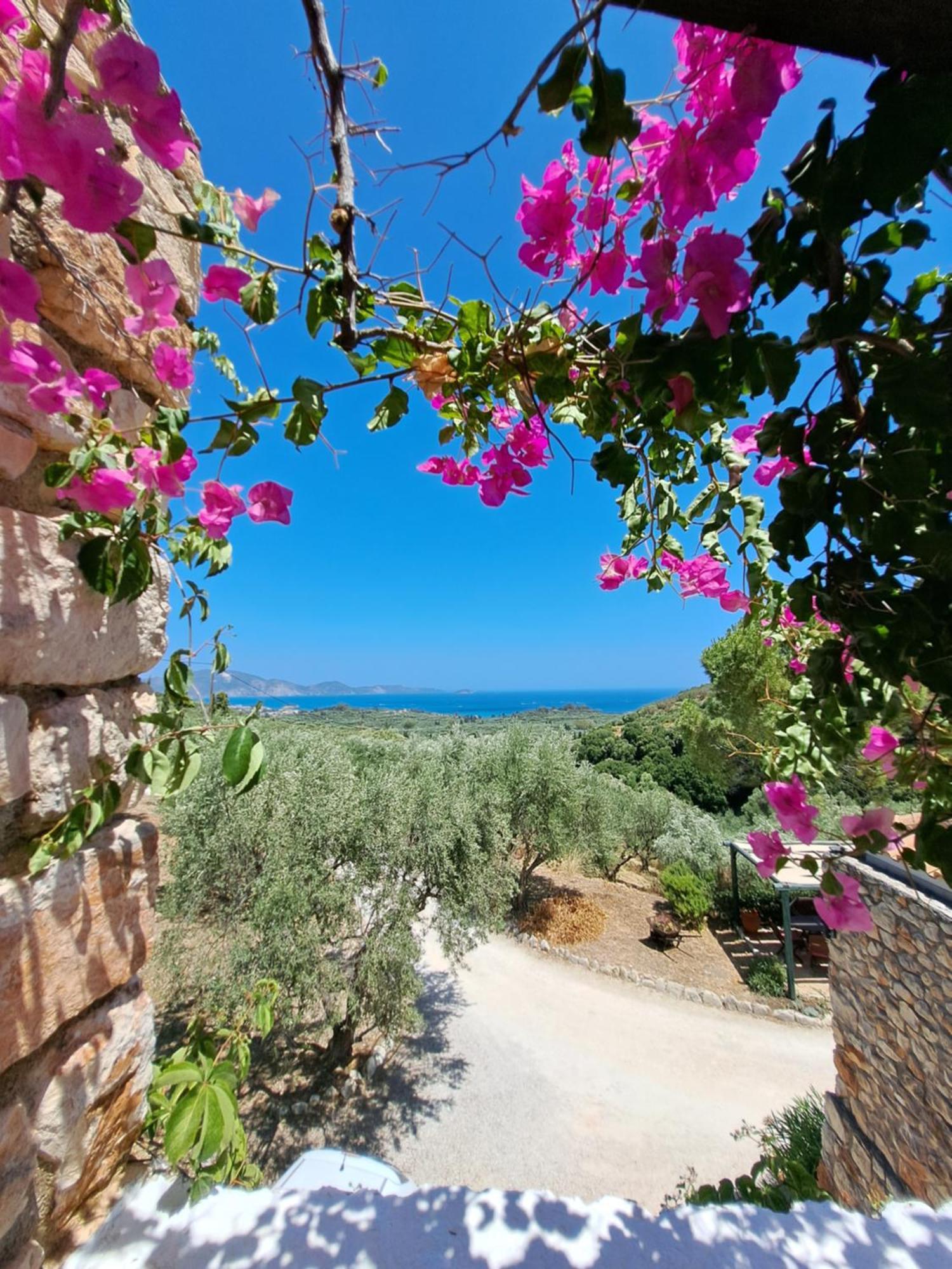 Tsivouli Accommodation Lithakia  Exterior photo